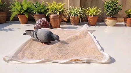 Papad Drying Mesh Mat